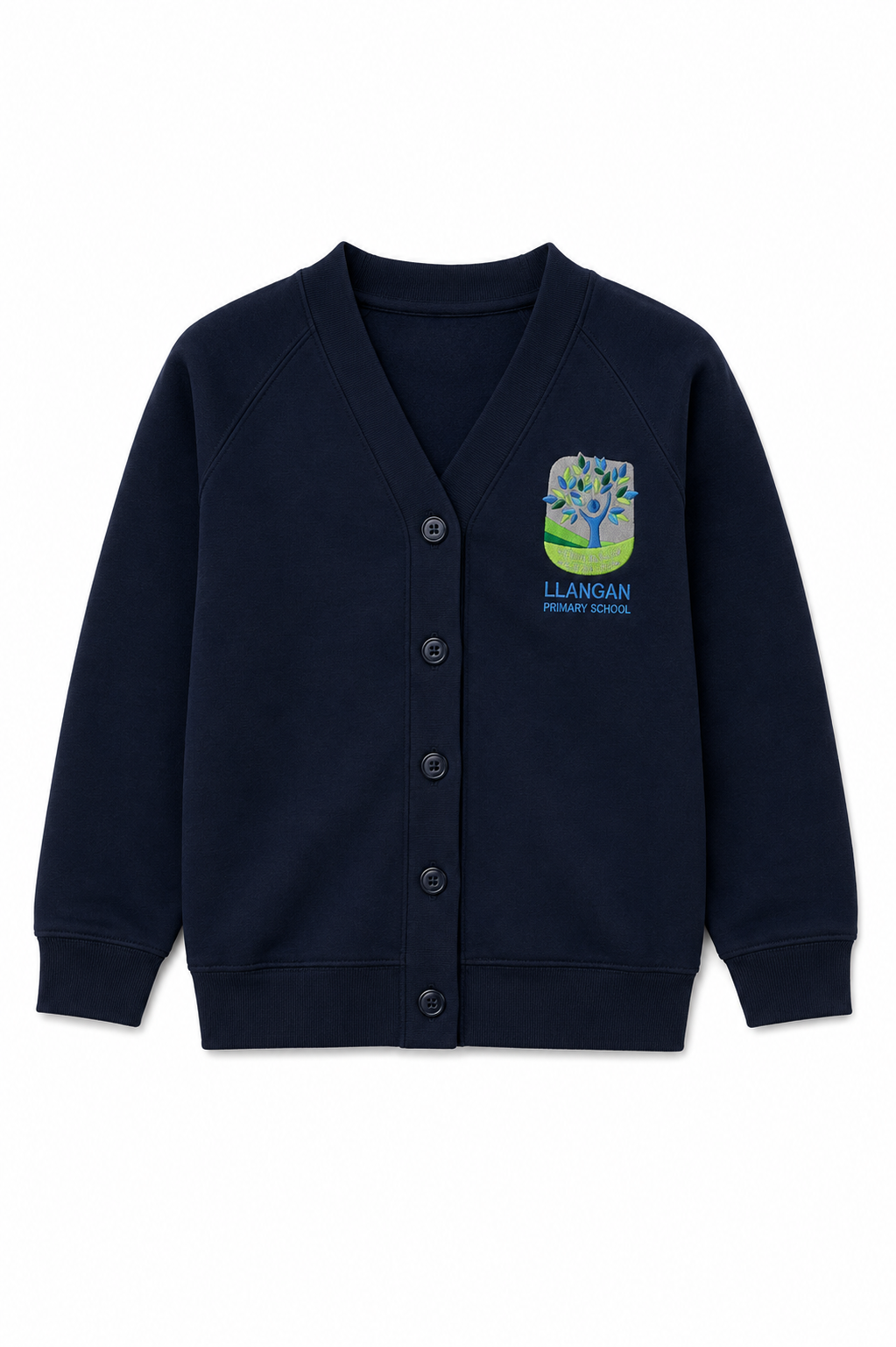 Llangan Cardigan