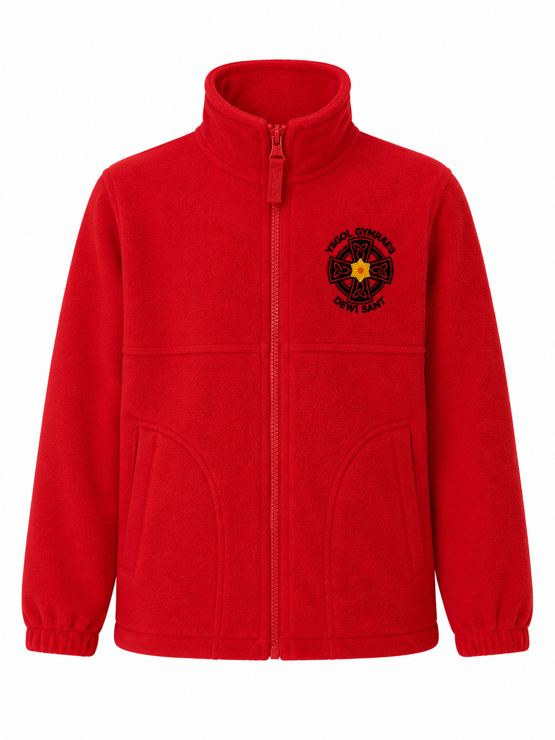 Ysgol Gymraeg Dewi Sant Fleece