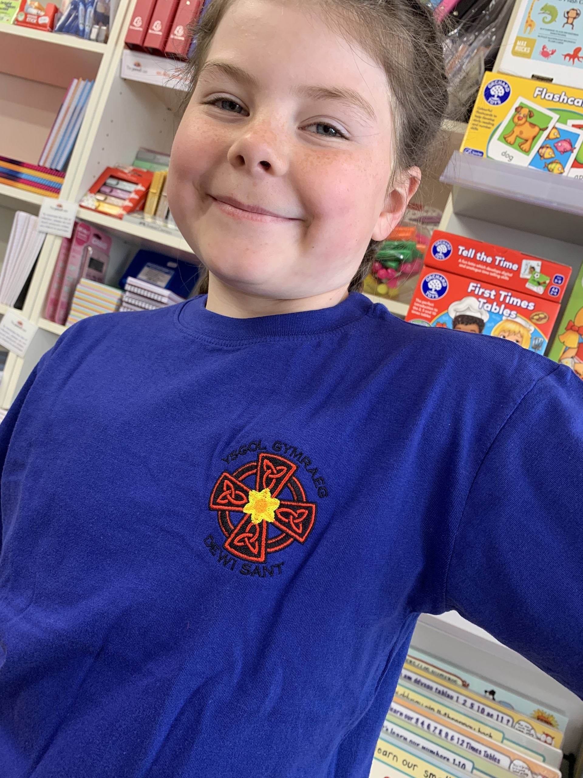 Ysgol Gymraeg Dewi Sant PE T-Shirt - Blue