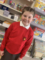 Ysgol Gymraeg Dewi Sant Sweatshirt