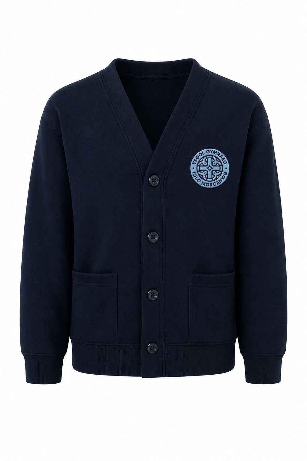 Ysgol Iolo Morganwg Cardigan